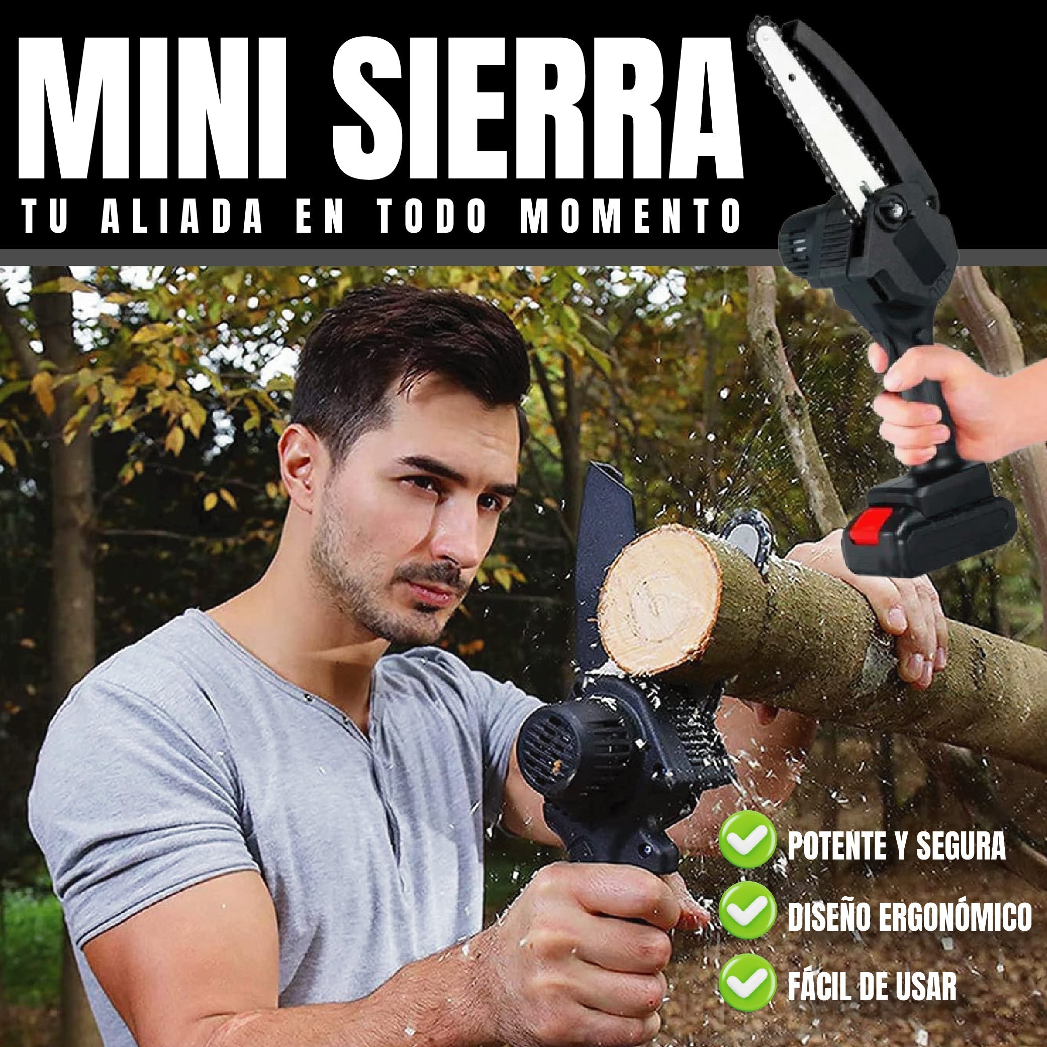 MINI SIERRA