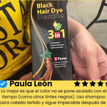 Herbal hair dye shampoo